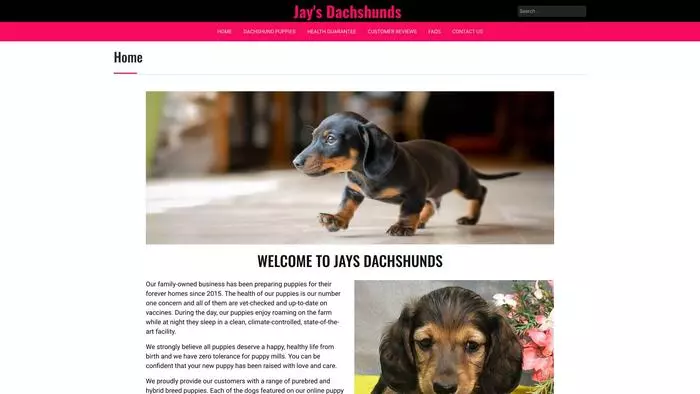 Jays dachshunds