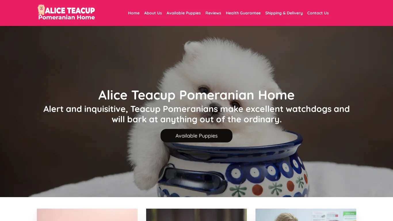 Alice Teacup Pomeranian Home