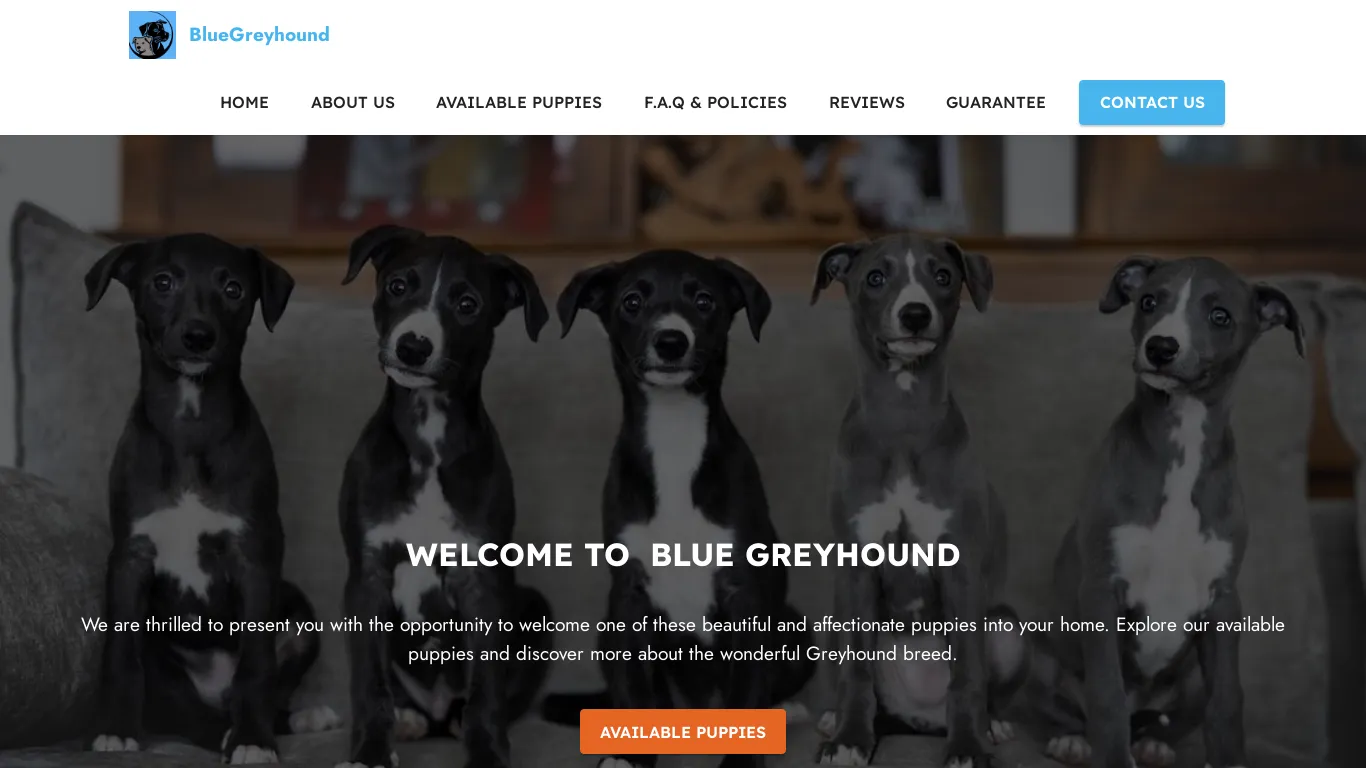 Blue Grey Hounds