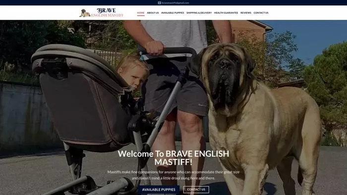 Brave english mastiff