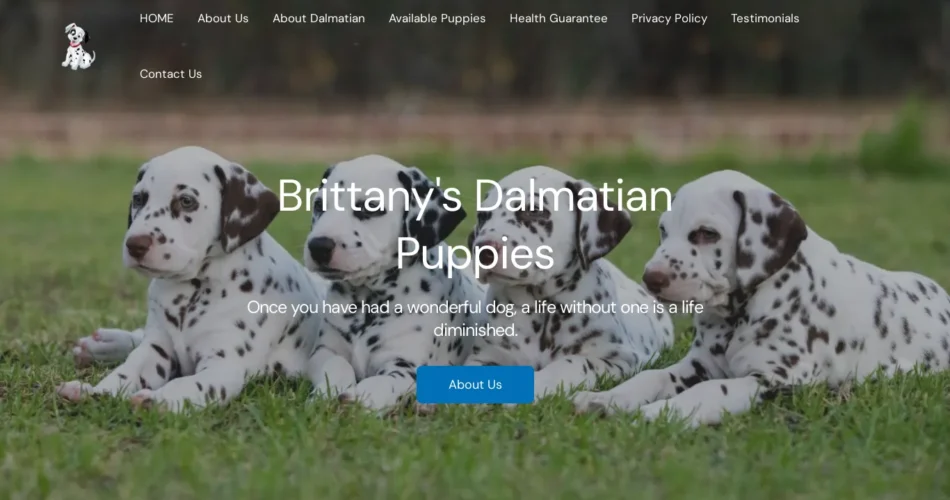 Brittanys dalmatian puppies