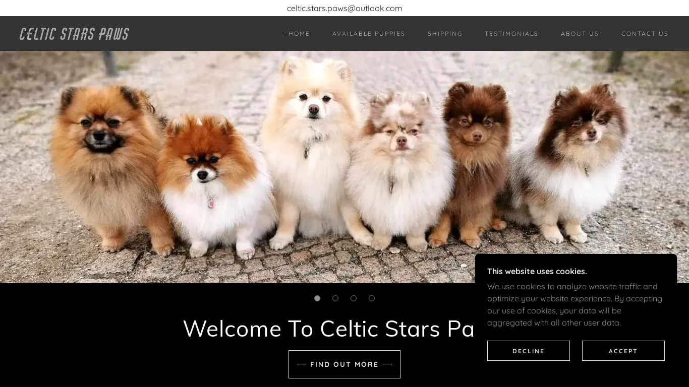 Celtic Stars Paws