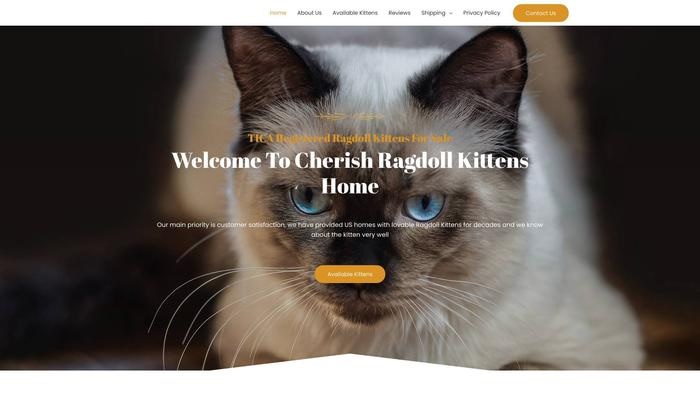 Cherish rag doll kittens home