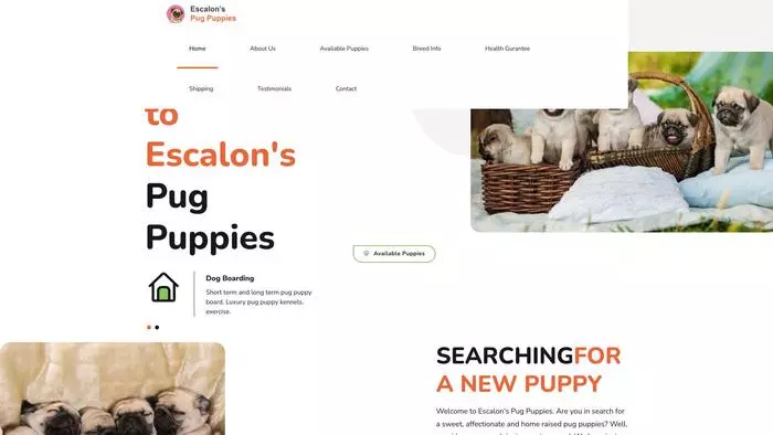 Escalons-pug-puppies