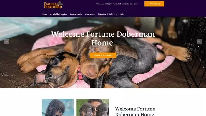 Fortune doberman home