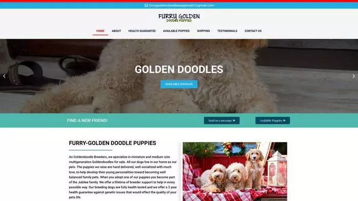 Furry golden doodle puppies