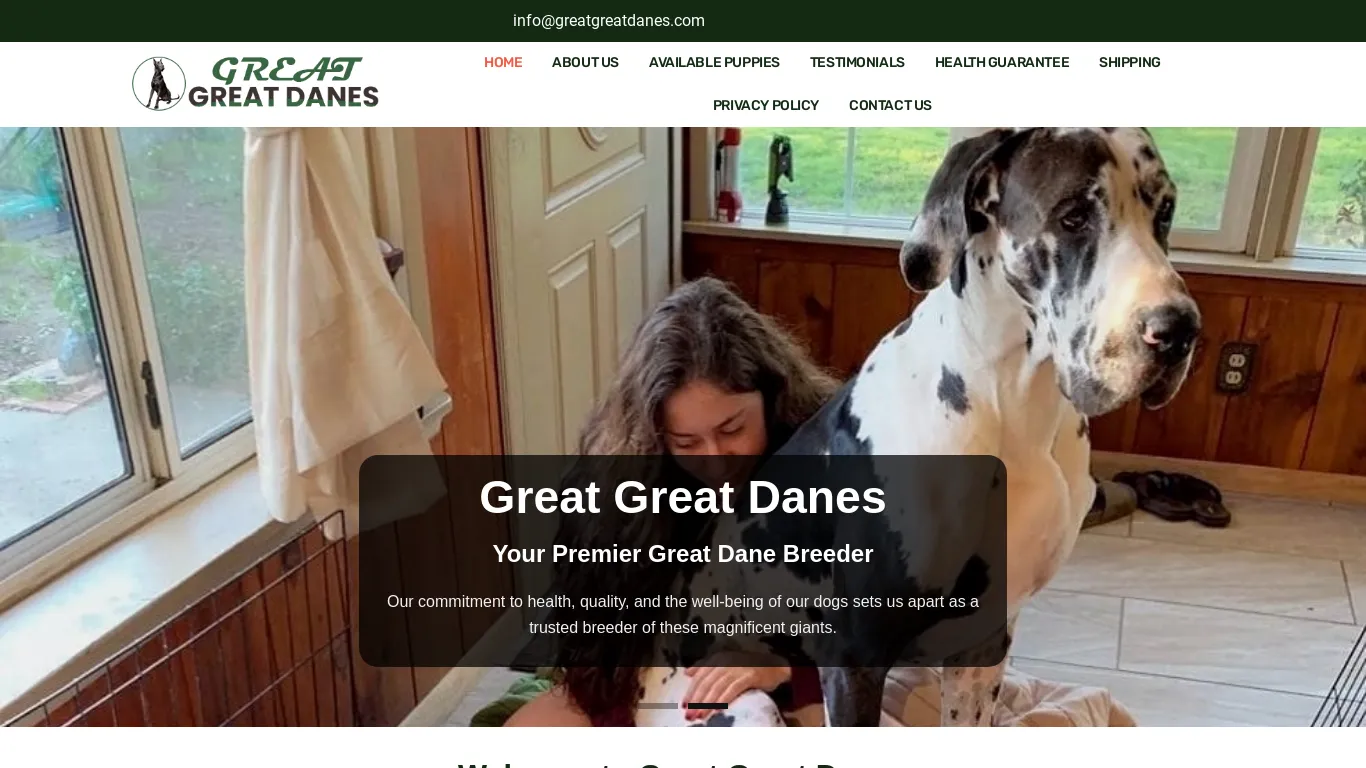 Great Great Danes