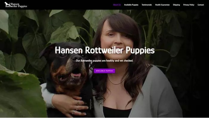 Hansen rott weiler puppies