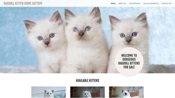 Home of rag doll kittens cattery