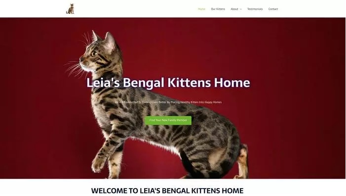 Leias bengal kittens home