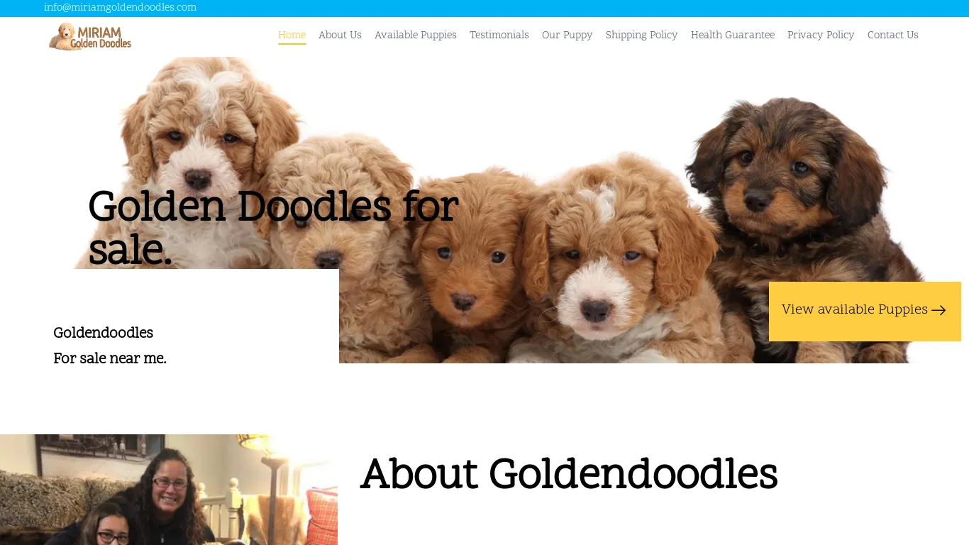 Miriam Mini Goldendoodles