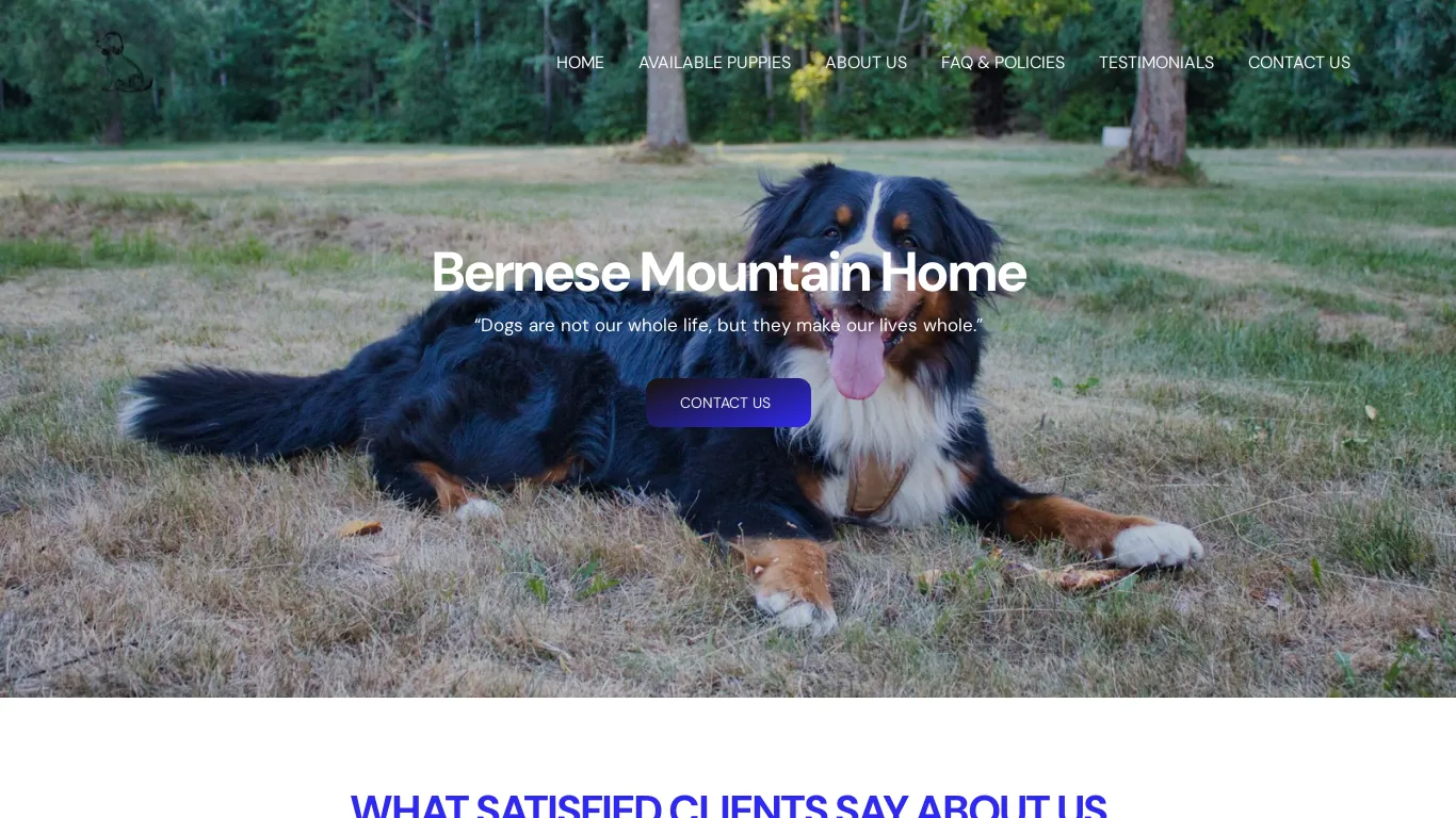 Bernese Mountain Home