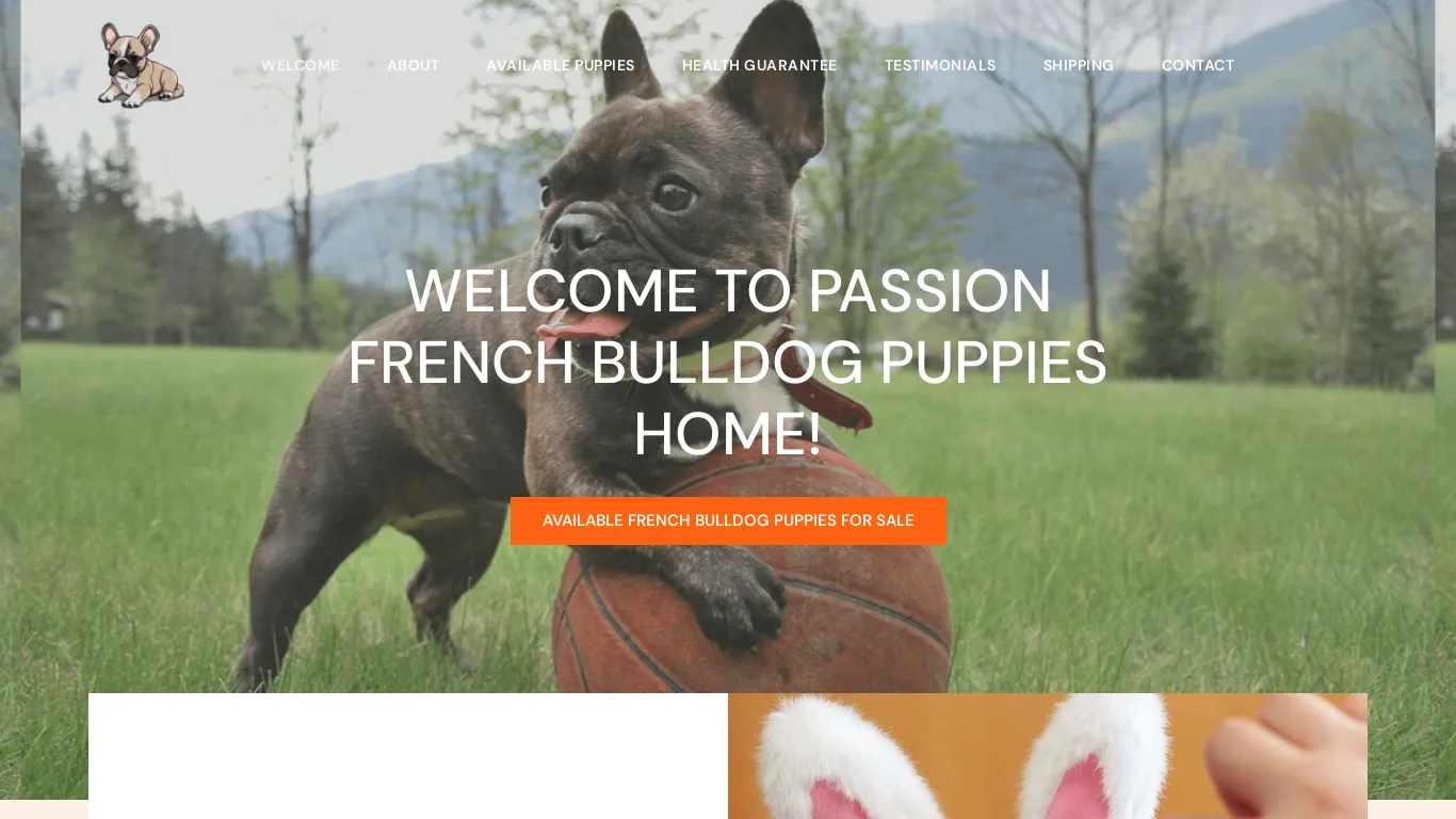 Passion French Bulldog Puppies Home