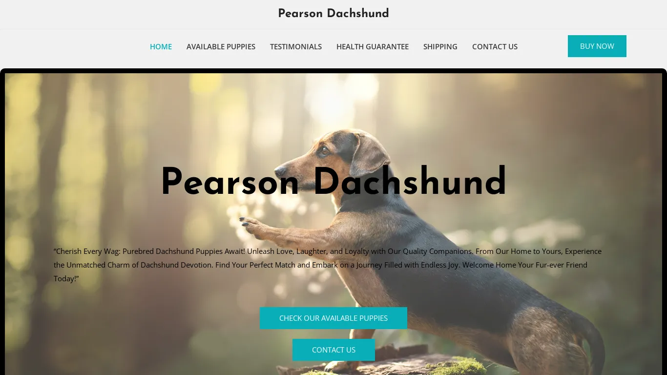 Pearson Dachshund