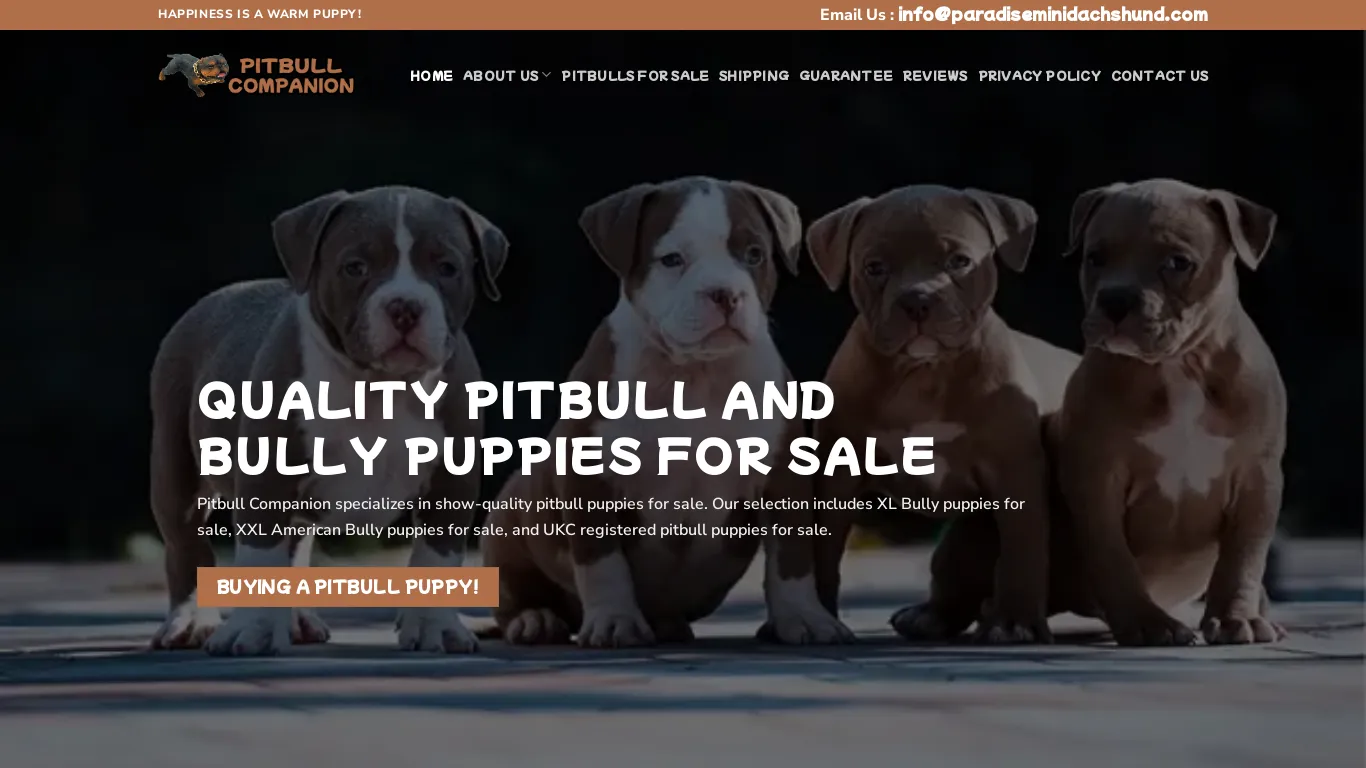 Pitbull Companion 