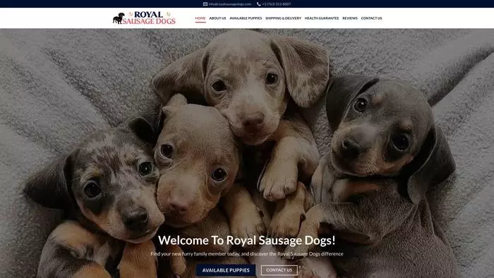 Royal sausage dogs