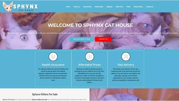 Sphynx cat house