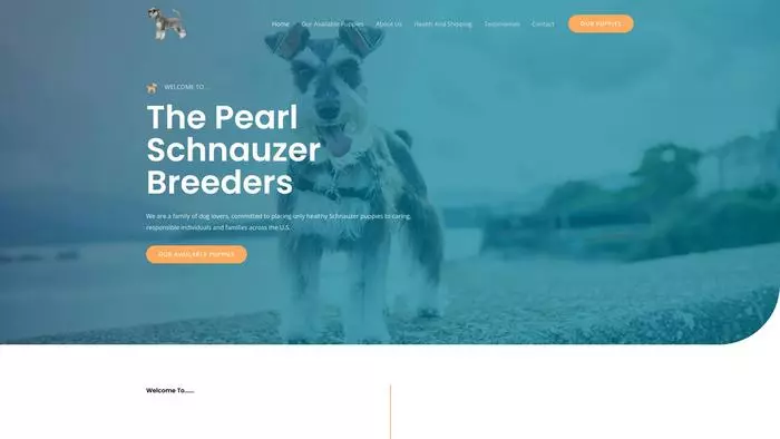 The pearl schnauzer breeders