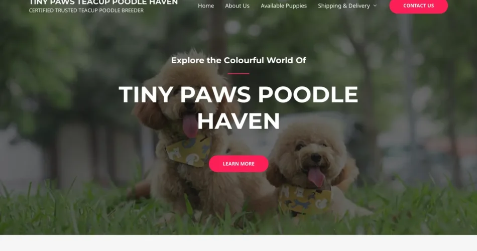 Tiny Paws Teacup Poodle Haven