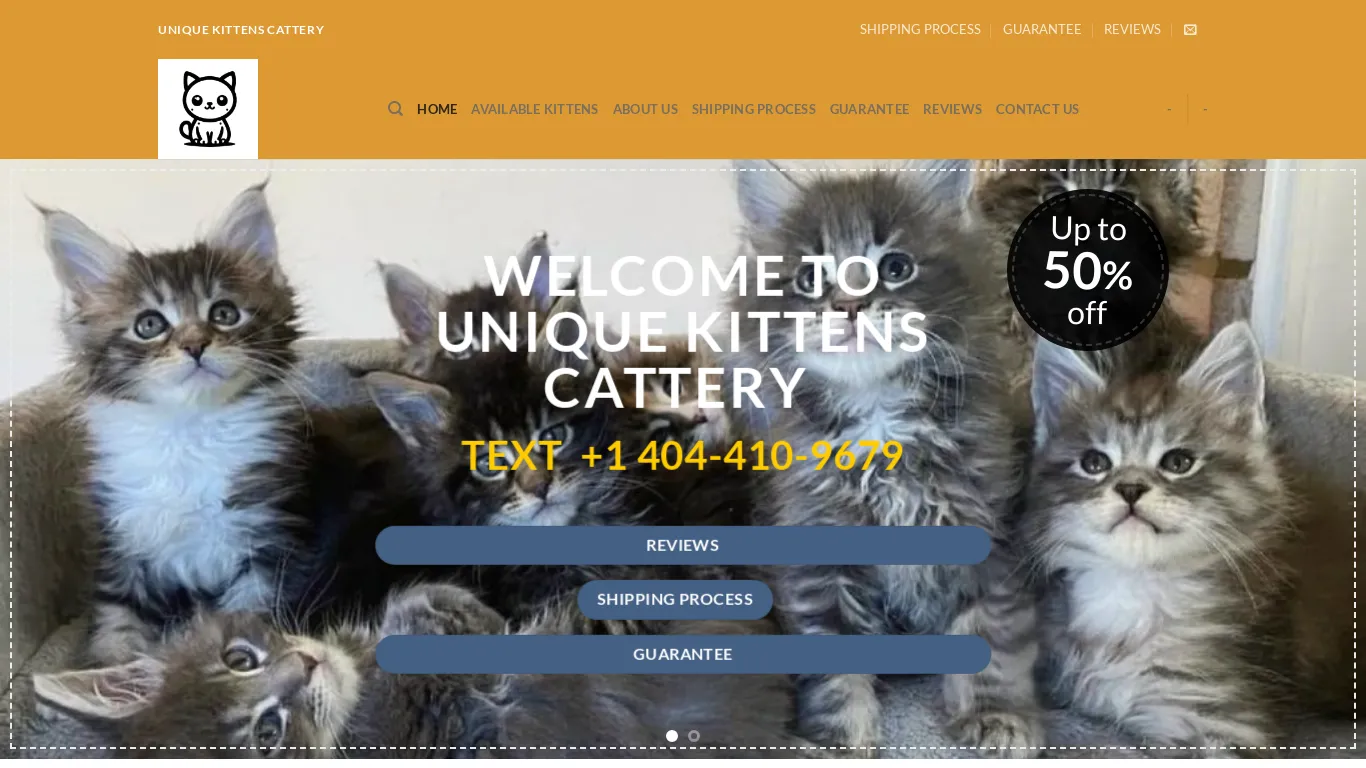 Unique Kittens Cattery